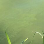 jezero-josava-zagadenje