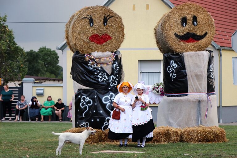 Piškorevački sokaci Đakovo