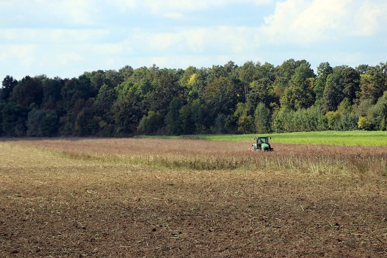 FB_IMG_1759704291231