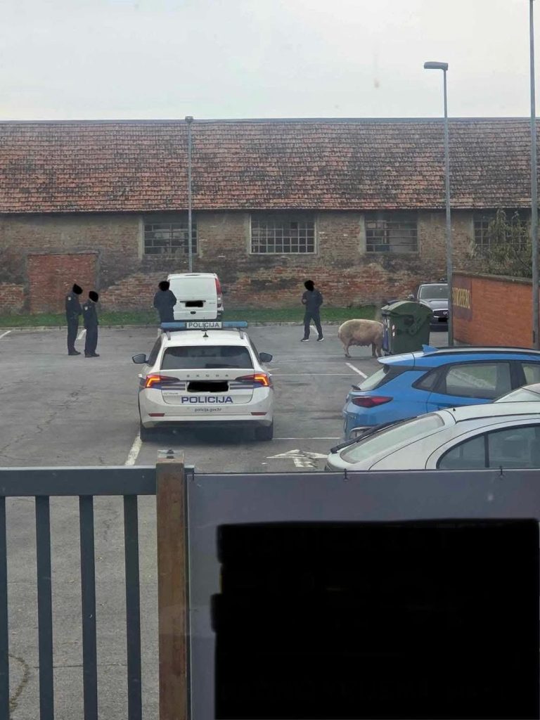 FB_IMG_1761205902136