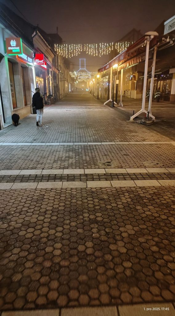 ADVENTSKA GROBNICA U ĐAKOVU: KRATKA POVIJEST JEDNOG NESTALOG DOGAĐAJA 1000126859