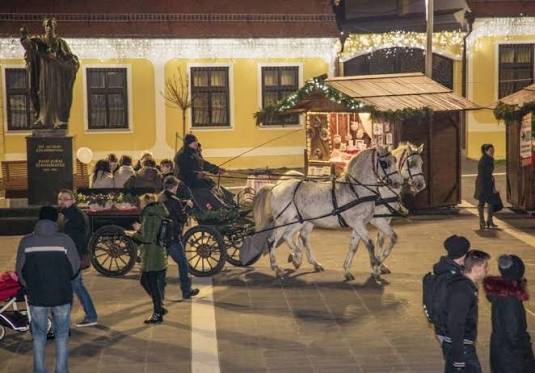 ĐAKOVAČKA ADVENTSKA BAJKA O KOCIJAMA, MIMOZAMA I MULTIVERZUMU IDIOTIZMA 1000127640